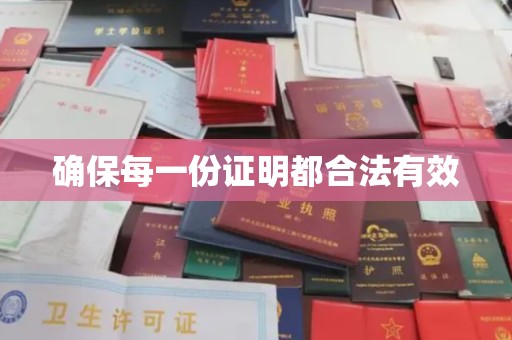 昌都确保每一份证明都合法有效