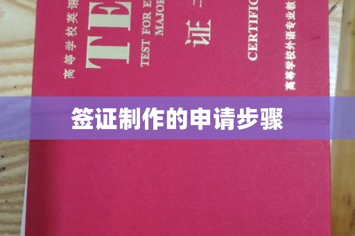 昌都签证制作的申请步骤