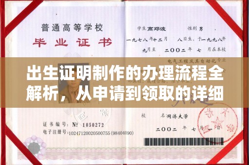 昌都出生证明制作的办理流程全解析，从申请到领取的详细指南