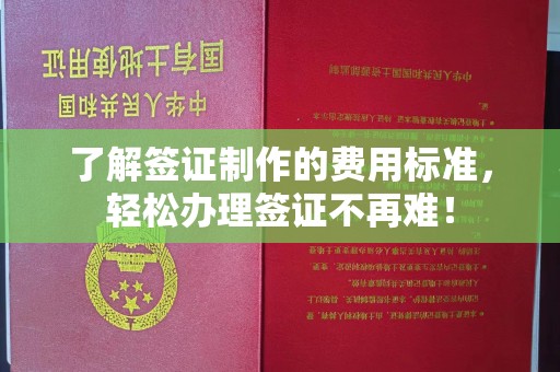 昌都了解签证制作的费用标准，轻松办理签证不再难！
