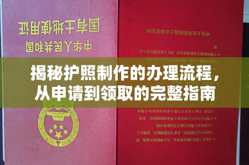 昌都揭秘护照制作的办理流程，从申请到领取的完整指南