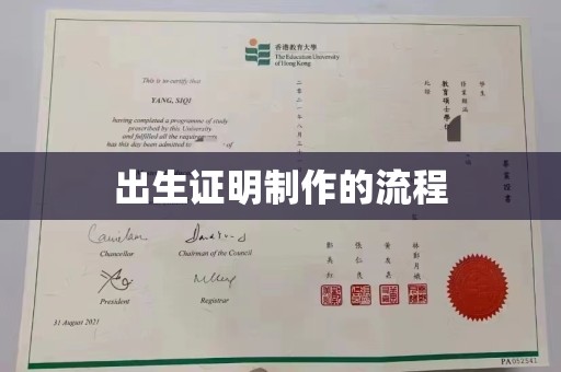 昌都出生证明制作的流程